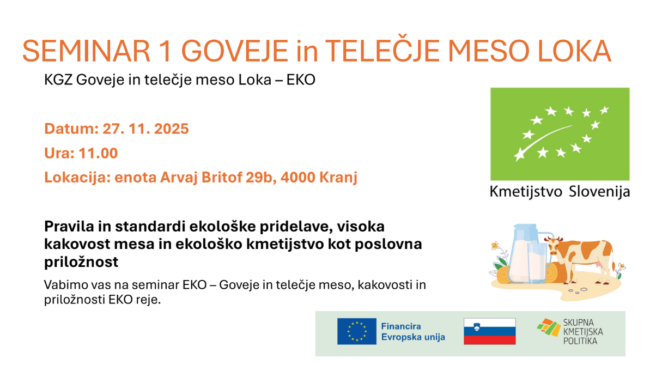 Seminar2 EKO